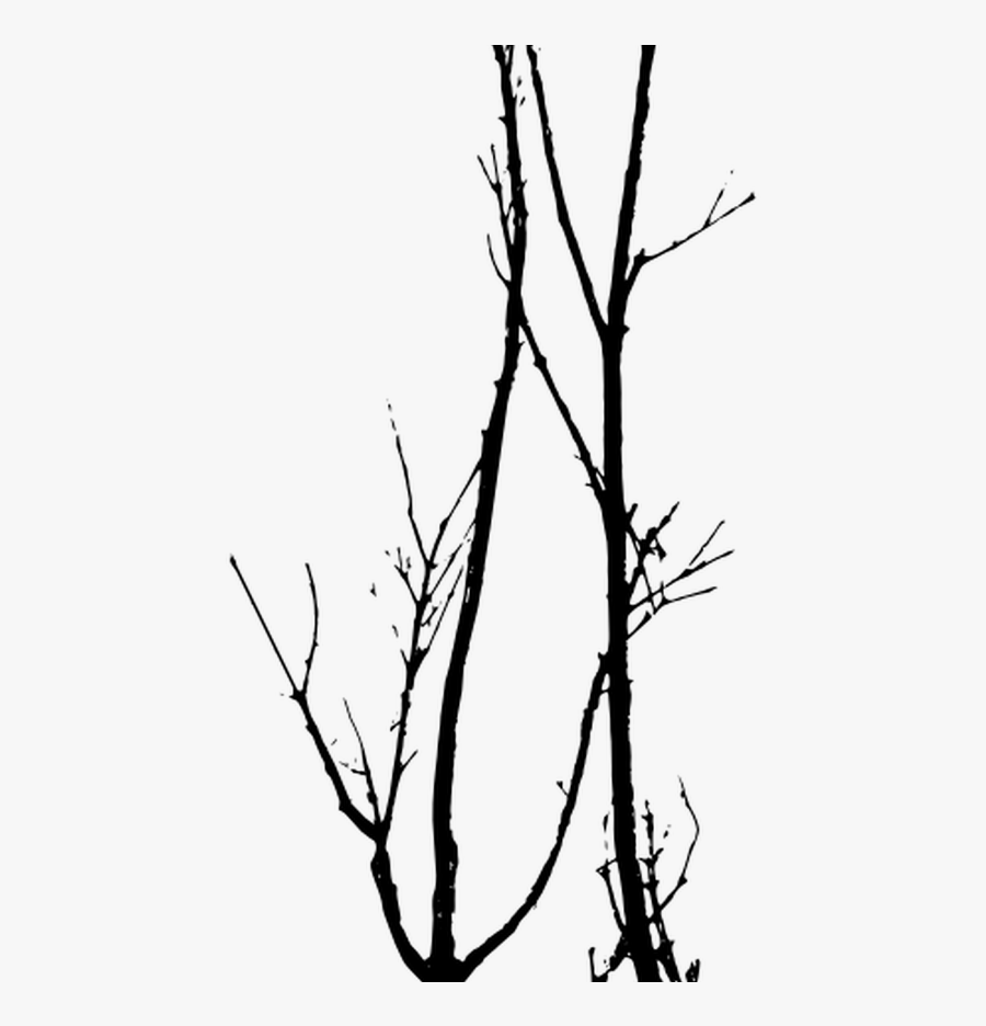 Dead Trees Vector Tree Silhouette Photoshop Pinterest - Dead Trees Silhouette .png, Transparent Clipart