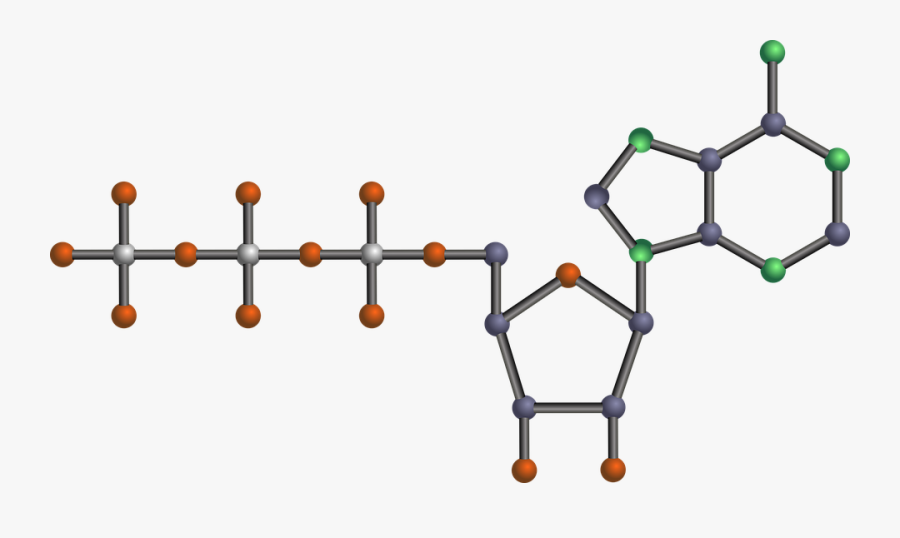 Atp Molecule, Transparent Clipart