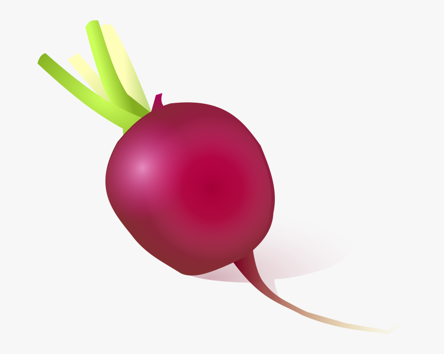 Radish - Radishes Cartoon, Transparent Clipart