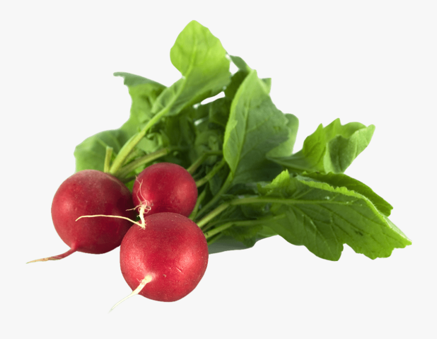 Radish Png Transparent - Healthy Food In Summer, Transparent Clipart