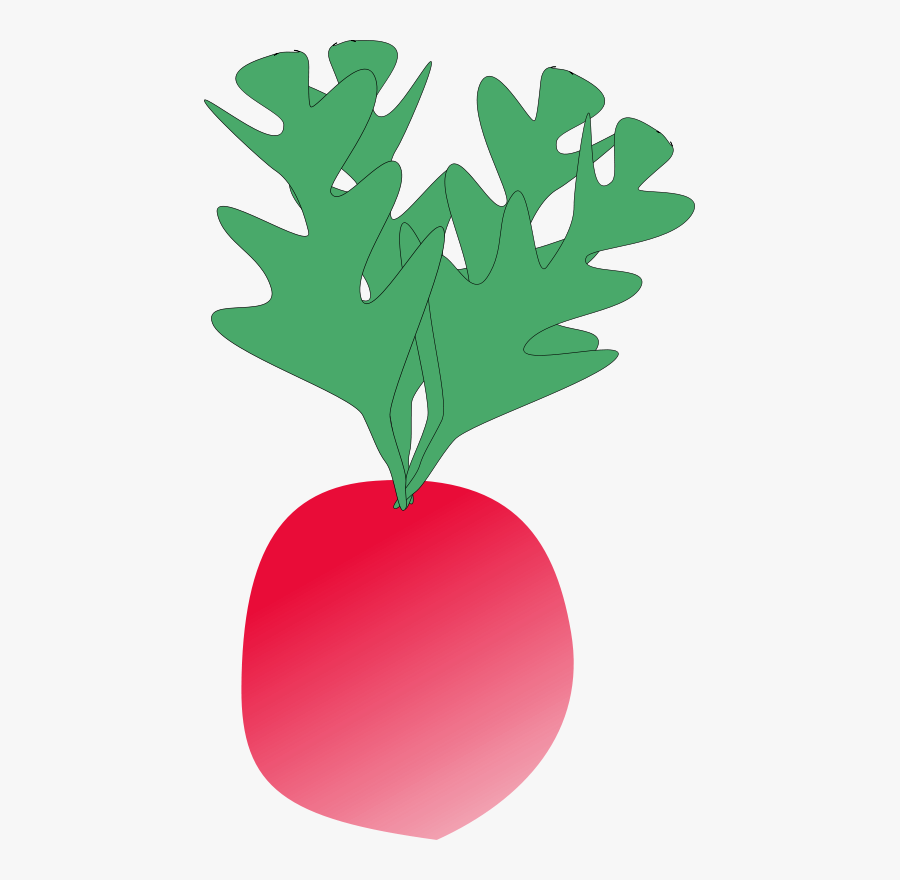 Radish - Radish Clip Art, Transparent Clipart