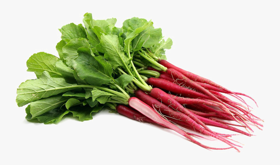 Radish Png Clipart - Long Thin Radishes, Transparent Clipart