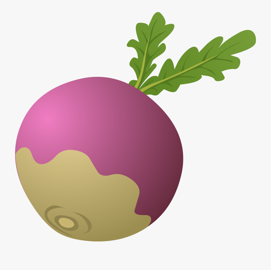 Radish Png, Transparent Clipart