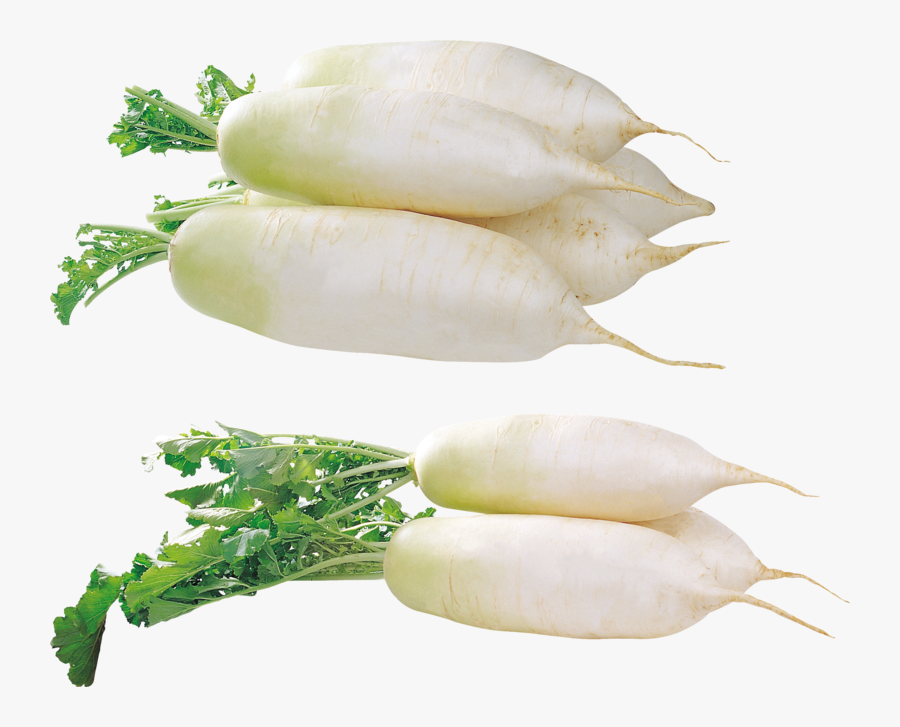 56843 - Radish Png, Transparent Clipart