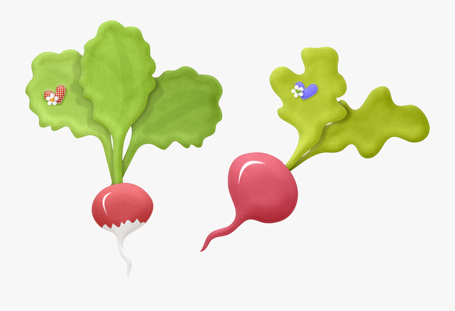 Radish Png - Verduras Png Desenho, Transparent Clipart