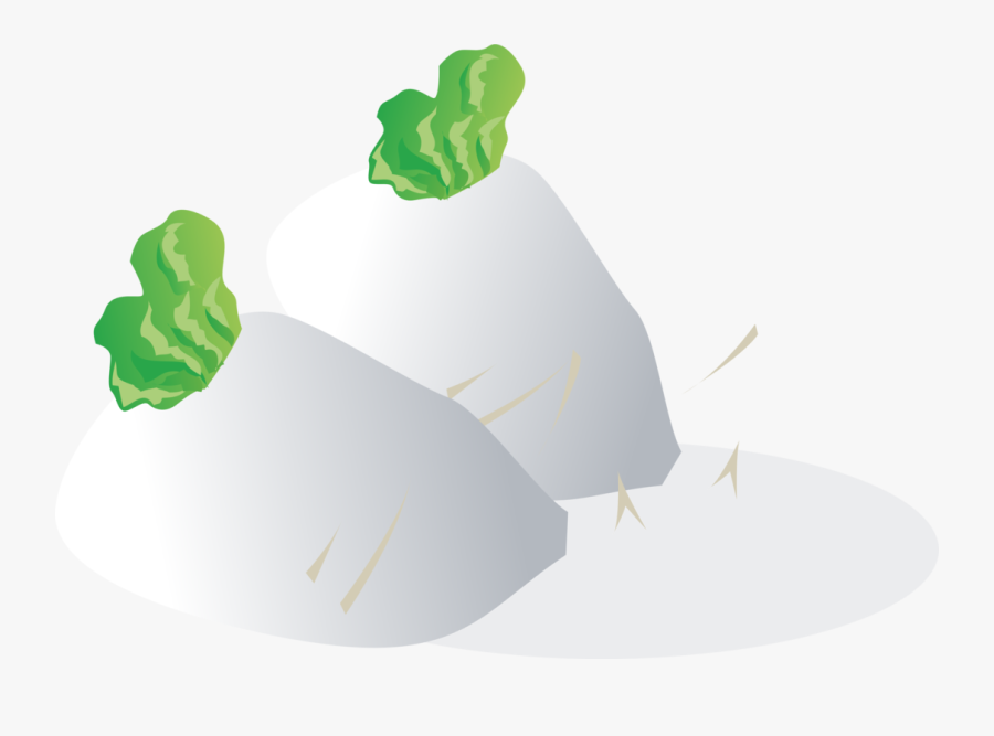 Plant,flower,leaf - หัว ไช เท้า การ์ตูน, Transparent Clipart