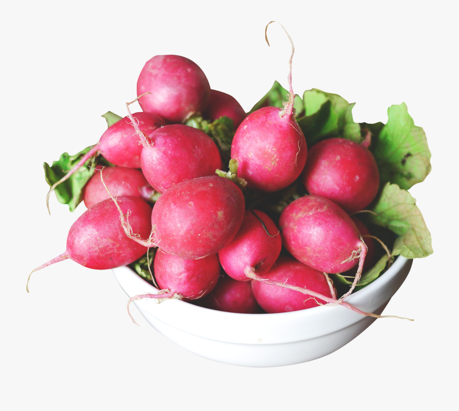 Radish In A Bowl Png Image - Portable Network Graphics, Transparent Clipart