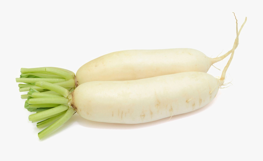 Mooli Png File - Daikon, Transparent Clipart