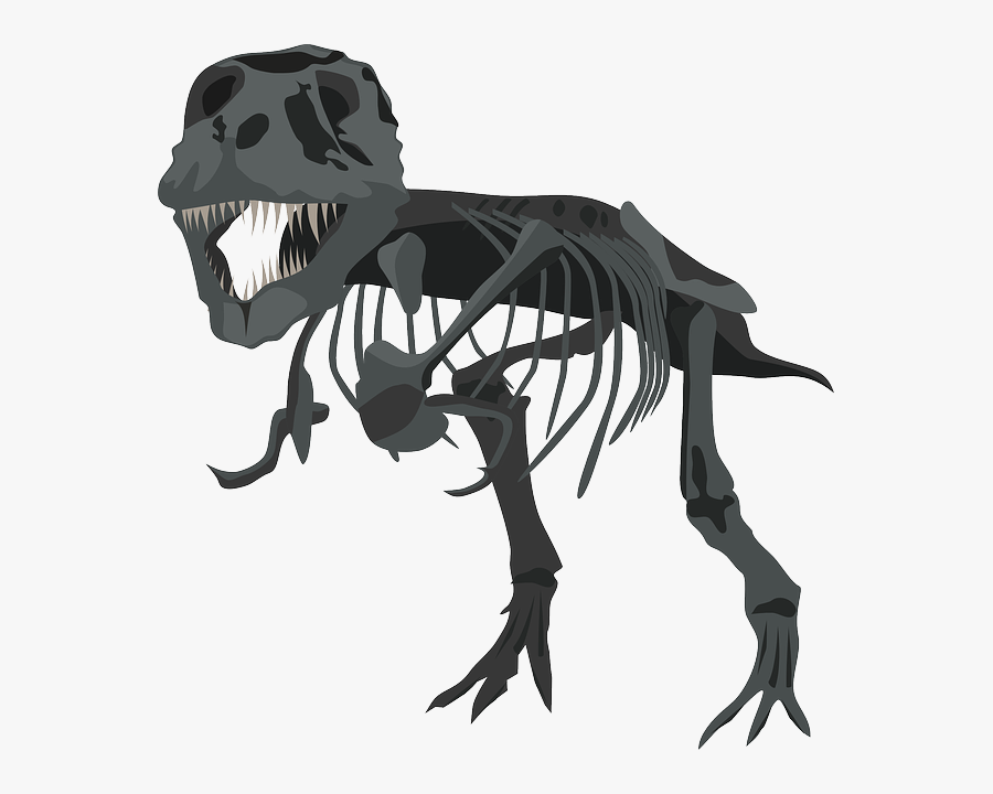 Tyrannosaurus Rex, Dinosaur, Dino, Carnivore, Skeleton - T Rex Bone Png, Transparent Clipart