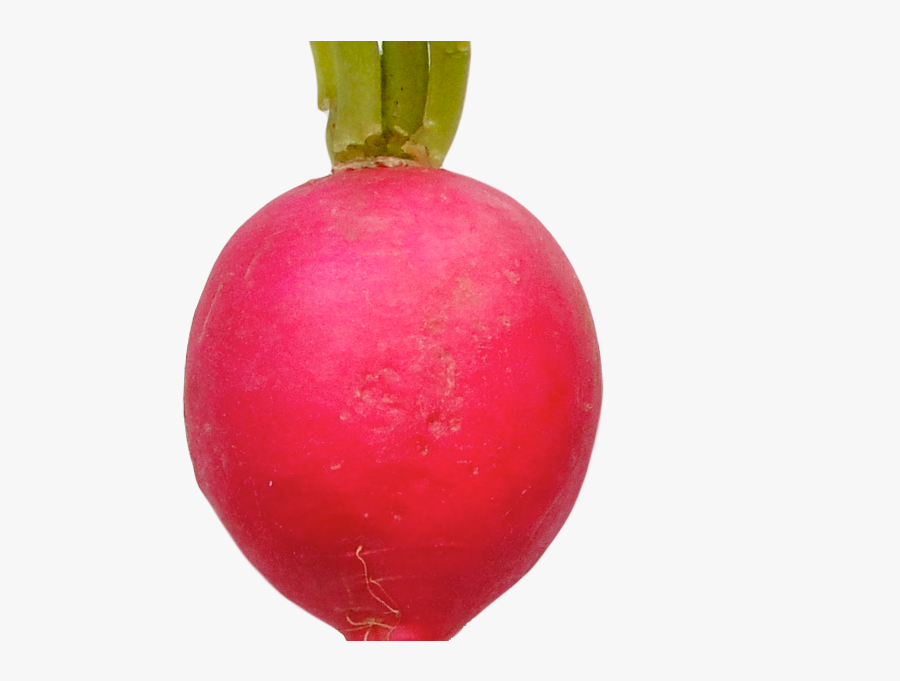 Radish - Beetroot, Transparent Clipart