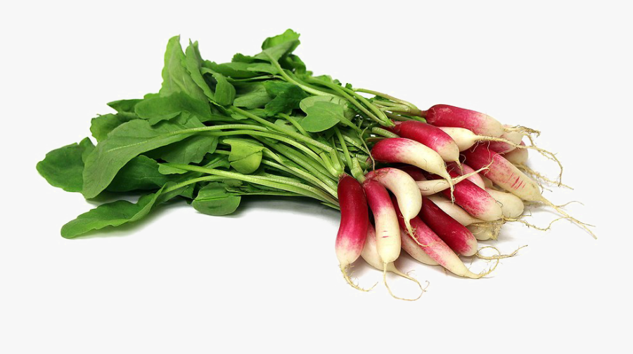 Radish Png Free Download - Portable Network Graphics, Transparent Clipart