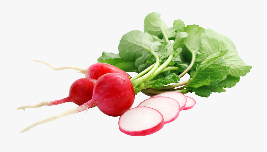 Radish Png - Fresh Radish, Transparent Clipart