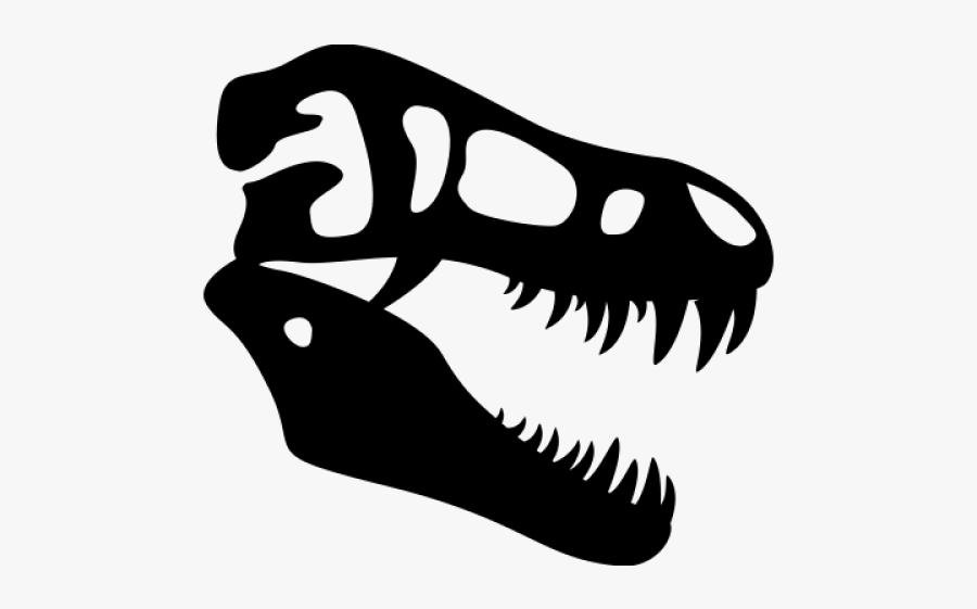 Dinosaur Clipart Skull - Dinosaur Skeleton Head Clipart, Transparent Clipart