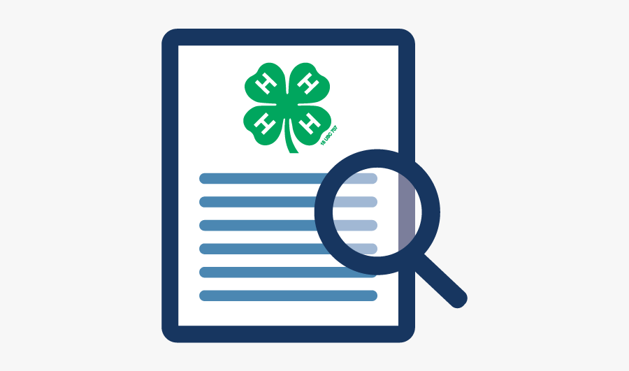 Circle, Transparent Clipart