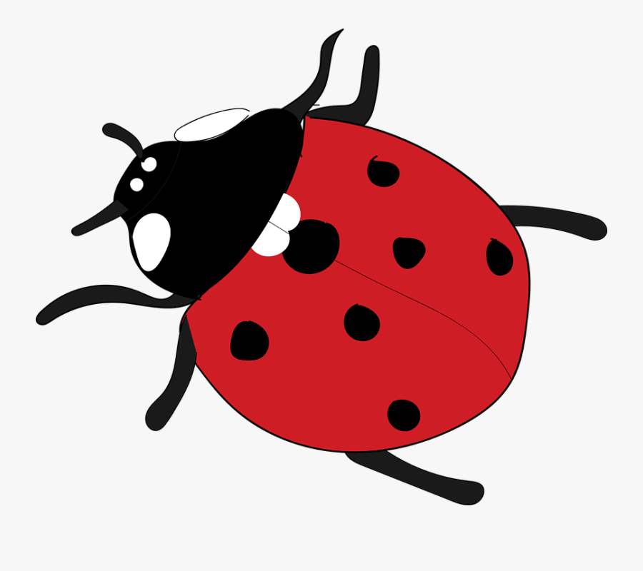 Ladybug Red Insect - Hình Ảnh Con Bọ Dừa, Transparent Clipart