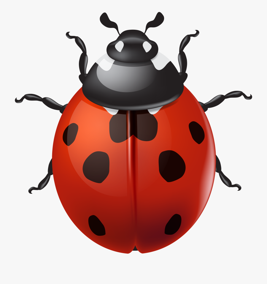 Ladybird Png Clip Art, Transparent Clipart