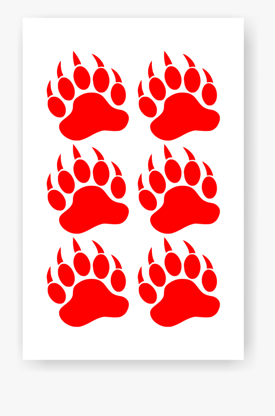 Bear, Transparent Clipart