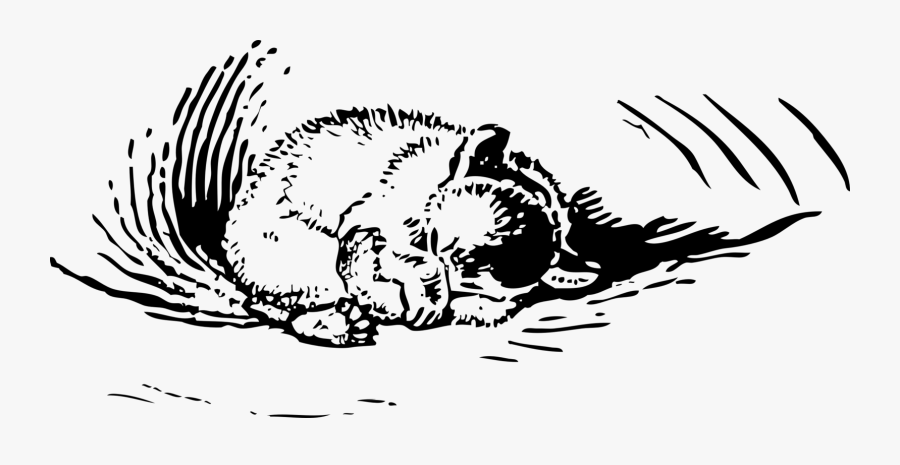 Art,monochrome Photography,carnivoran - Sleeping Bear Cub Drawing, Transparent Clipart