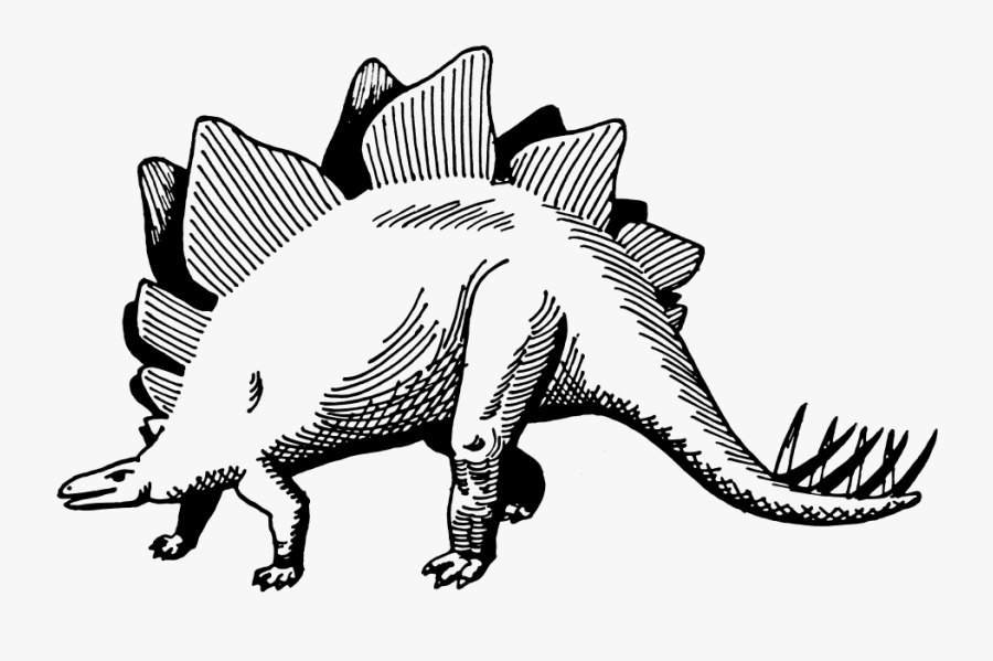 Stegosaurus - Circle All The Animals, Transparent Clipart