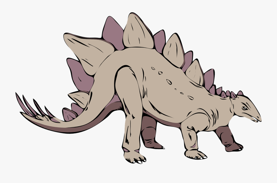 Stegosaurus, Dinosaur, Ancient, Extinct, Prehistoric - Dinossauros Com Picos Nas Costas, Transparent Clipart