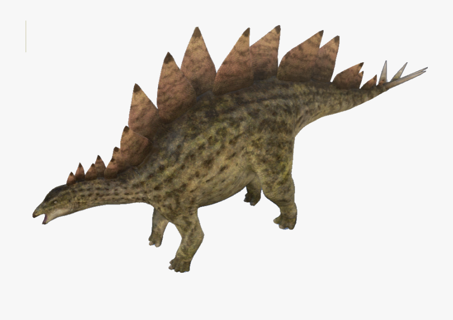 Stegosaurus Image Free Transparent Image Hd - Stegosaurus Transparent, Transparent Clipart