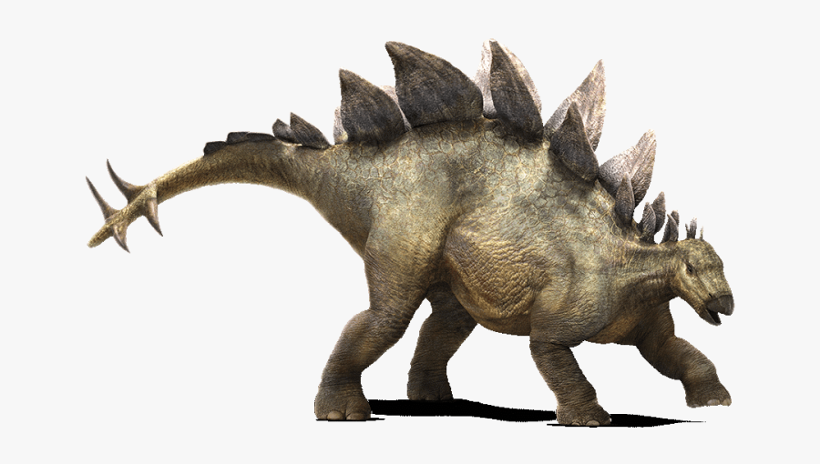 Stegosaurus Jurassic World - Jurassic World Dinosaurs, Transparent Clipart