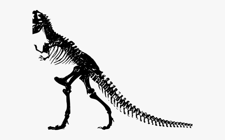 Dinosaurs Clipart Stegosaurus - Silhouette T Rex Skeleton, Transparent Clipart