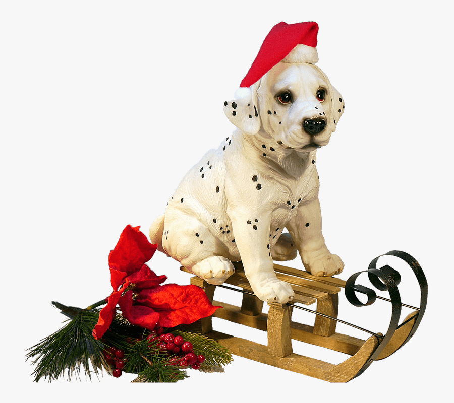 Christmas Dog On A Sledge, Transparent Clipart