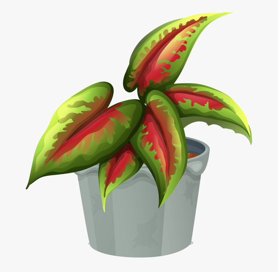 Mexican Flowers Clipart, Transparent Clipart