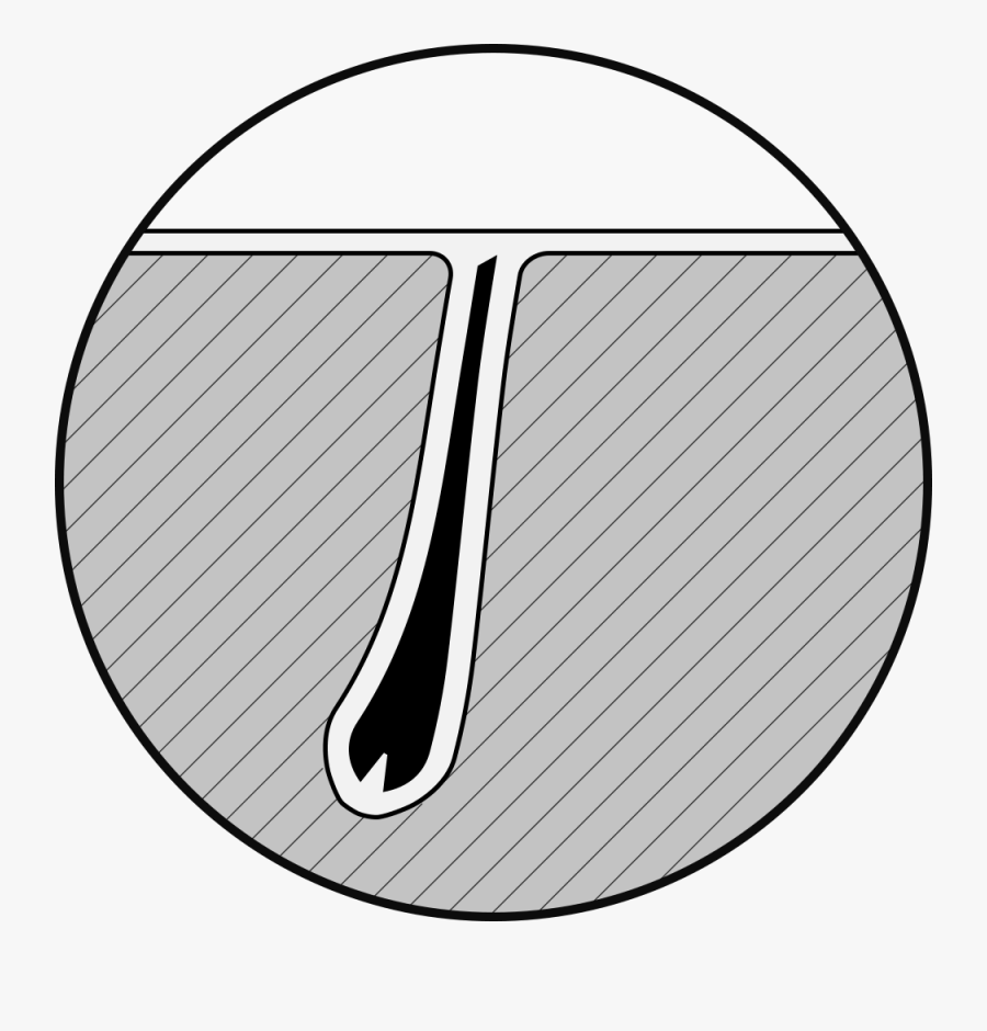 Slider - Line Art, Transparent Clipart