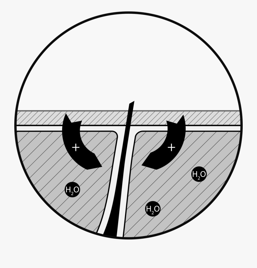 Slider - Circle, Transparent Clipart