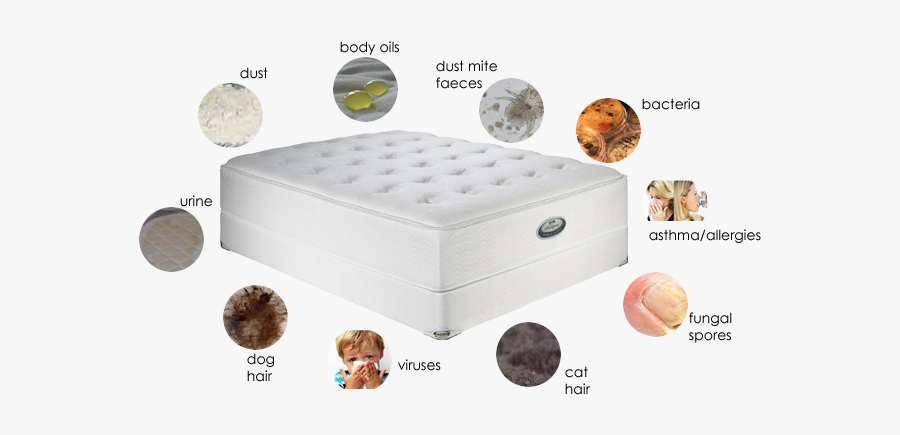 Clipart Bed Clean Bed - Young Living Mattress Cleaner, Transparent Clipart