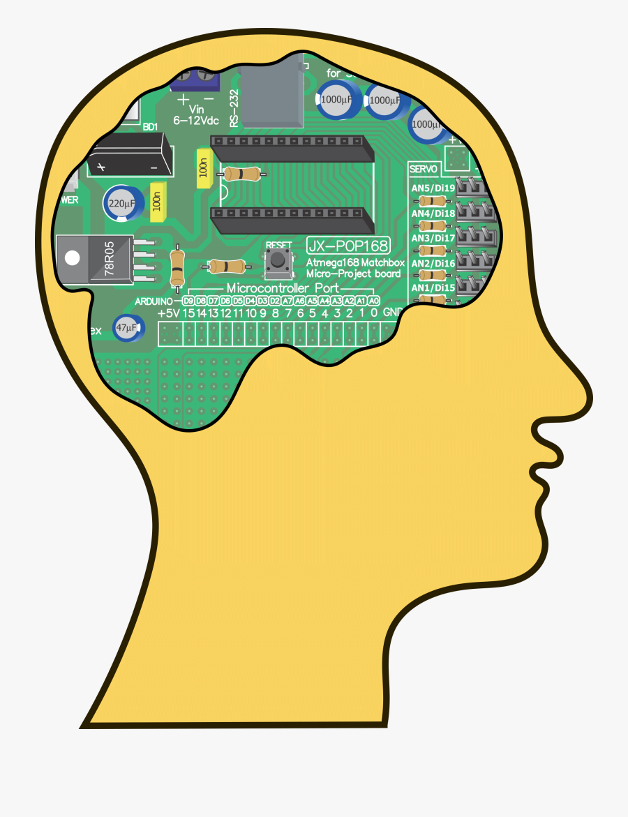 Area,yellow,brain - Intelligent Png, Transparent Clipart