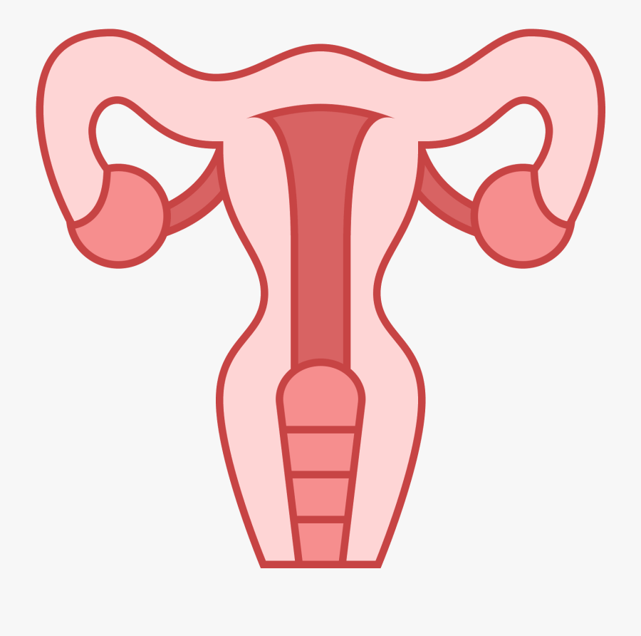 This Icon Represents The Uterus Of A Female Human - Uterus Png, Transparent Clipart