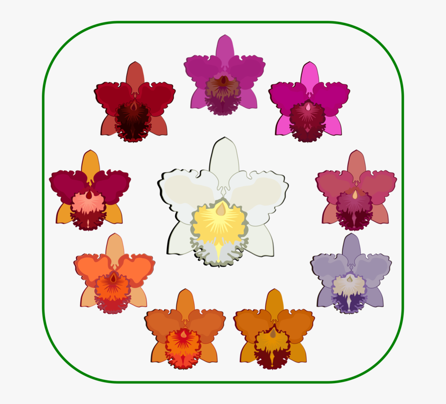 Plant,flower,purple - Gessi, Transparent Clipart