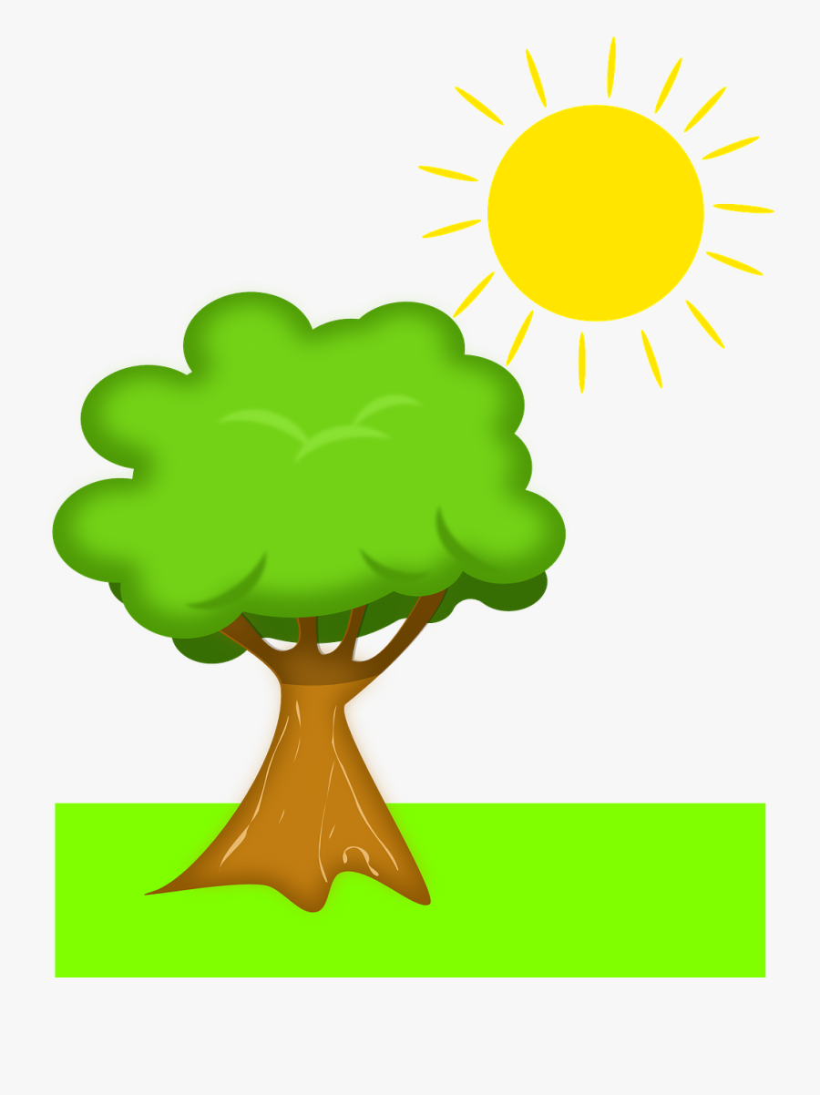 Tree, Sun, Scenery, Nature, Outdoor - Transparent Background Cartoon Tree, Transparent Clipart
