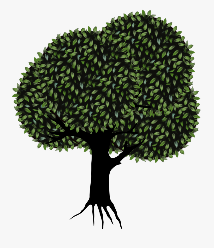 Tree Clip Art - Tree Png, Transparent Clipart