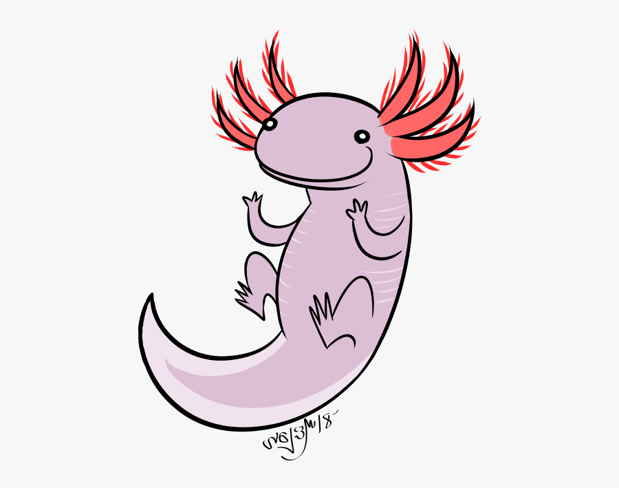 A Little Axolotl Doodle I"ve Become Really Fond Of - Axolotl Cartoon No Background, Transparent Clipart