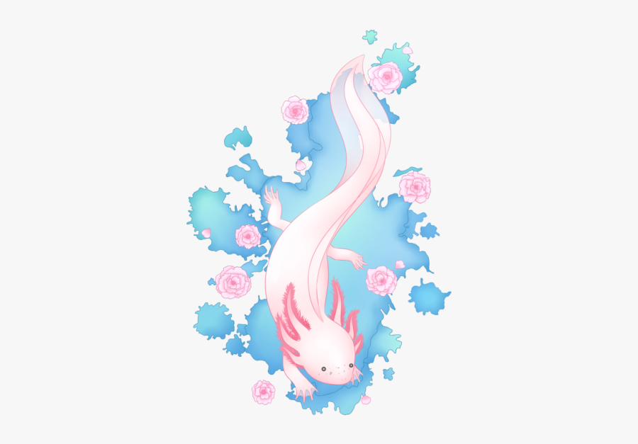 Ajolote Dibujo, Transparent Clipart