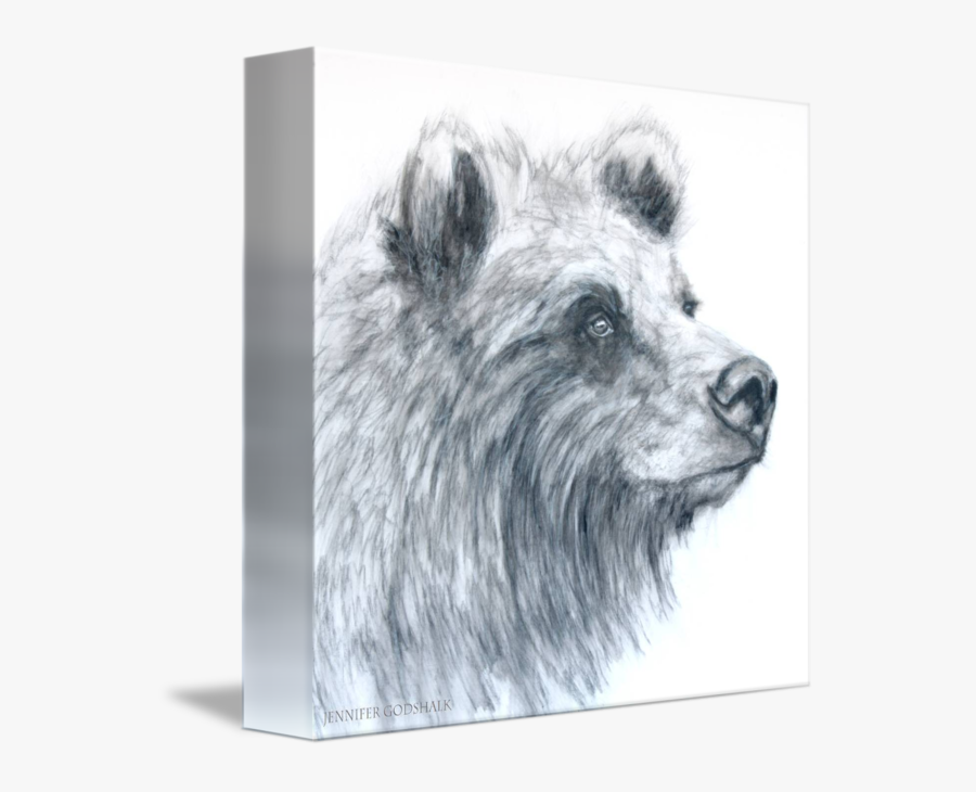 Daydream Bear - Grizzly Bear, Transparent Clipart