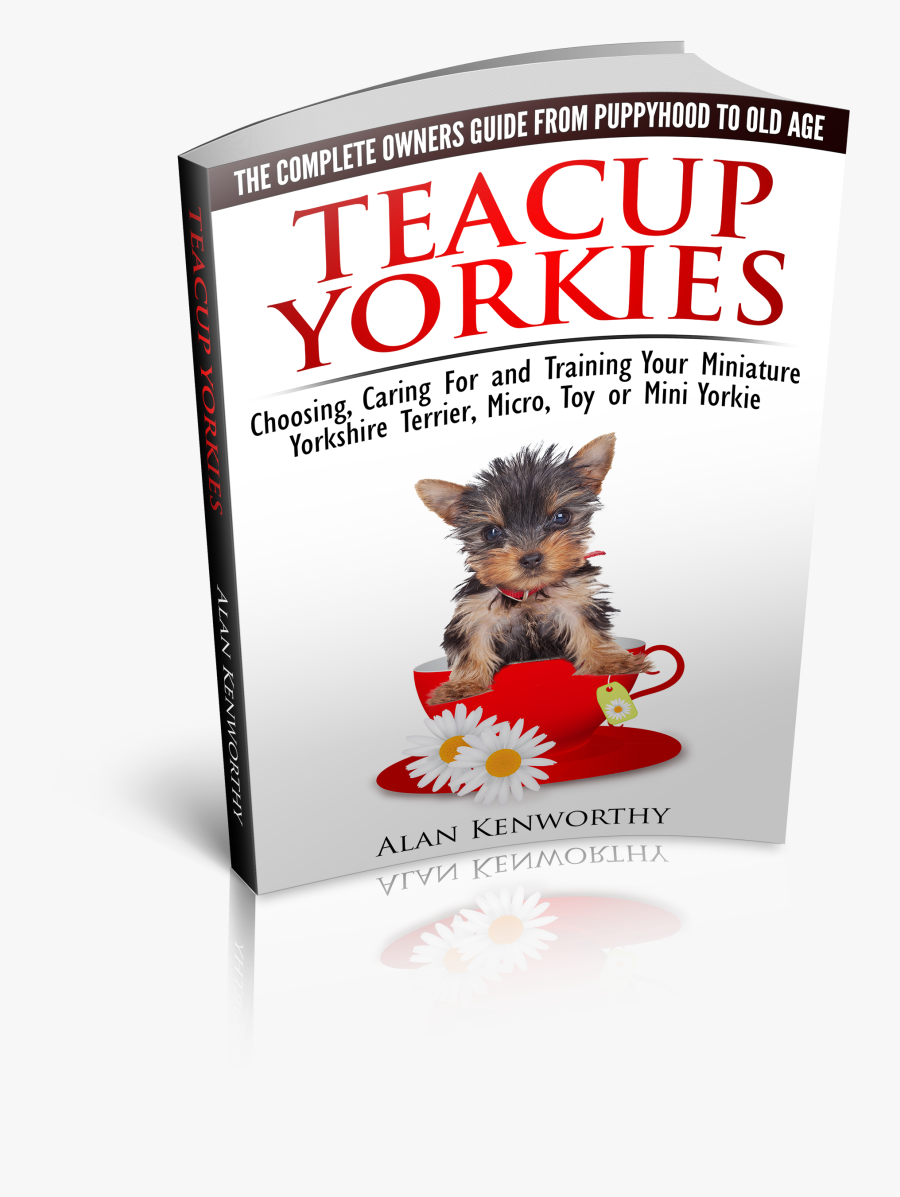 Yorkshire Terrier Puppy Biewer Terrier Chihuahua Pomeranian - Kitten, Transparent Clipart
