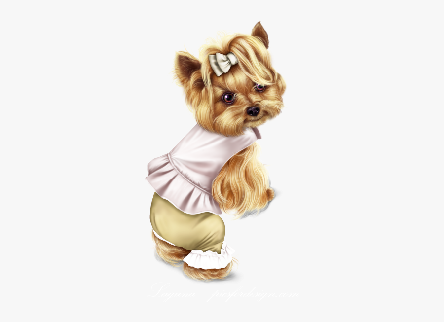 Yorkshire Terrier, Transparent Clipart