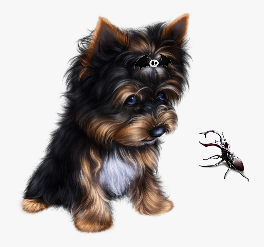 Transparent Yorkshire Terrier Clipart - Yorkshire Terrier, Transparent Clipart