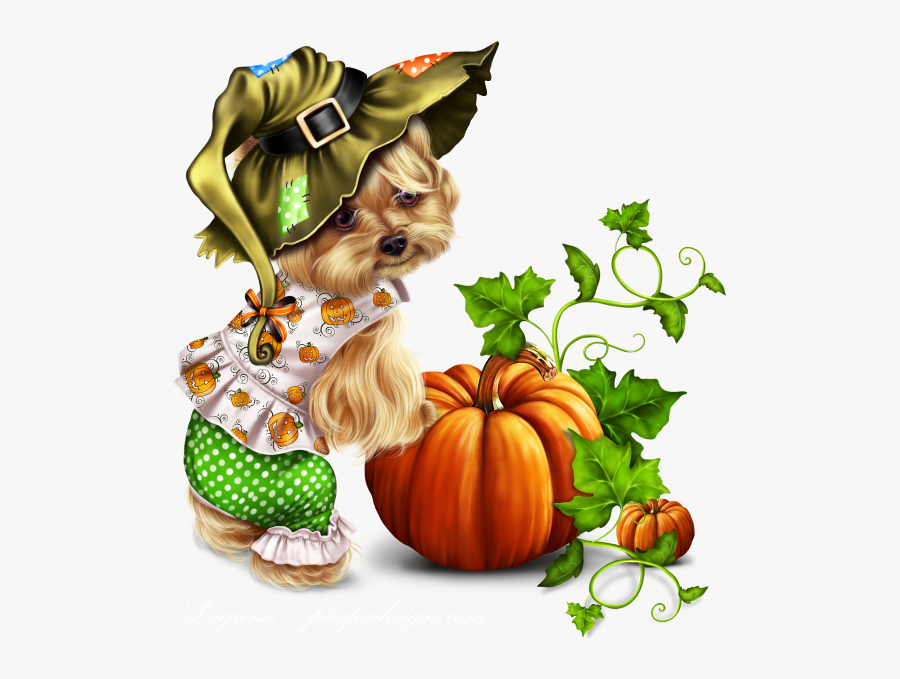 Little Pumpkin Yorkie - Yorkshire Terrier, Transparent Clipart