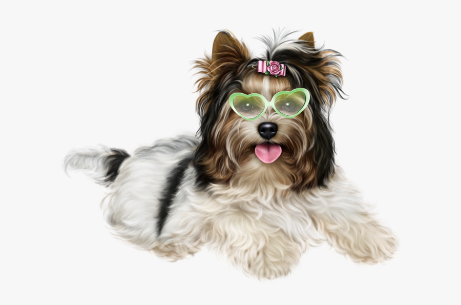 Biewer Resultaat X Kb Animal Clipart Bieweryorkieresultaat - Biewier Png, Transparent Clipart