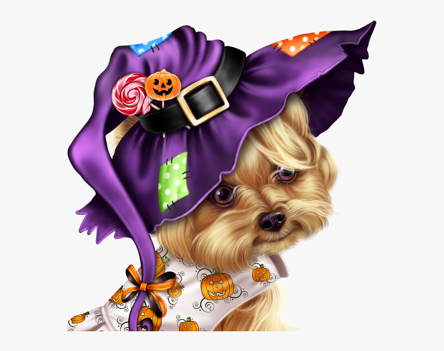 Yorkshire Terrier, Transparent Clipart