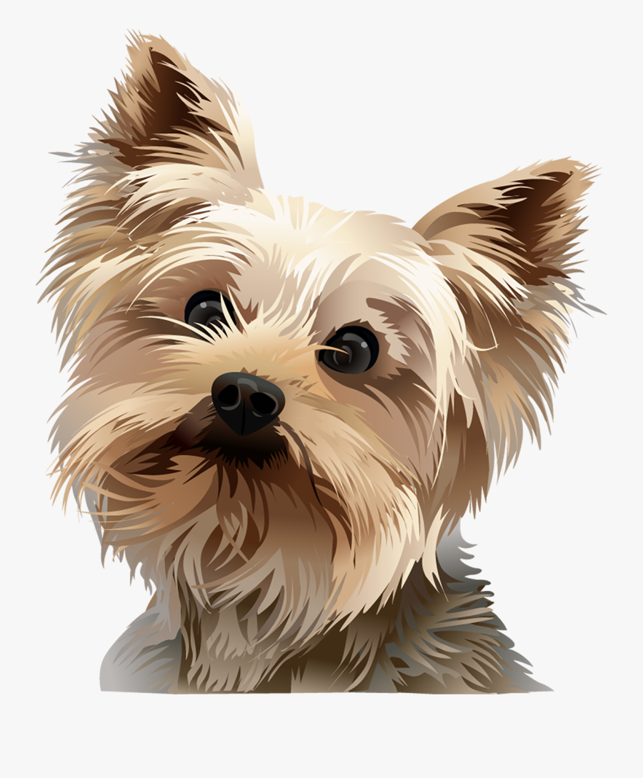 Picture Freeuse Stock Tshirt Standing Vibrant Animal - Yorkie Vector, Transparent Clipart