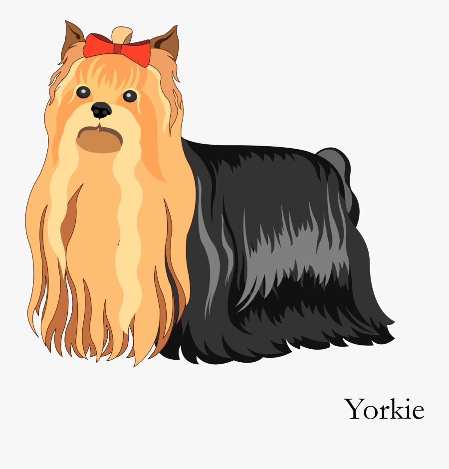 Transparent Yorkie Clipart - Yorkshire Terrier Cartoon Vector, Transparent Clipart