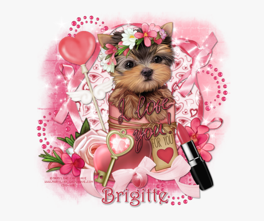 Yorkshire Terrier, Transparent Clipart