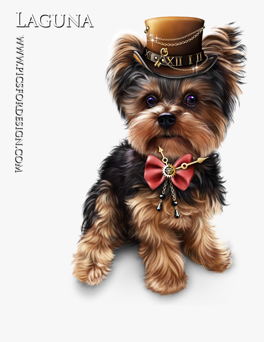 Yorkshire Terrier, Transparent Clipart